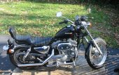 1988 Harley-Davidson XLH Sportster 883 De Luxe photo